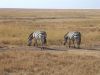 tanzanie-0087.JPG