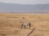 tanzanie-0088.JPG