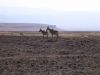 tanzanie-0092.JPG