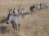 tanzanie-0096.JPG