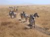 tanzanie-0099.JPG