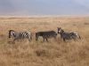 tanzanie-0101.JPG