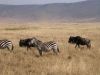 tanzanie-0103.JPG
