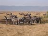 tanzanie-0111.JPG