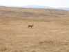 tanzanie-0112.JPG
