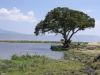 tanzanie-0126.JPG